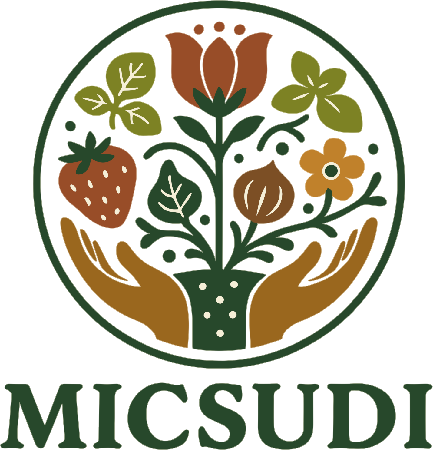 Micsudi