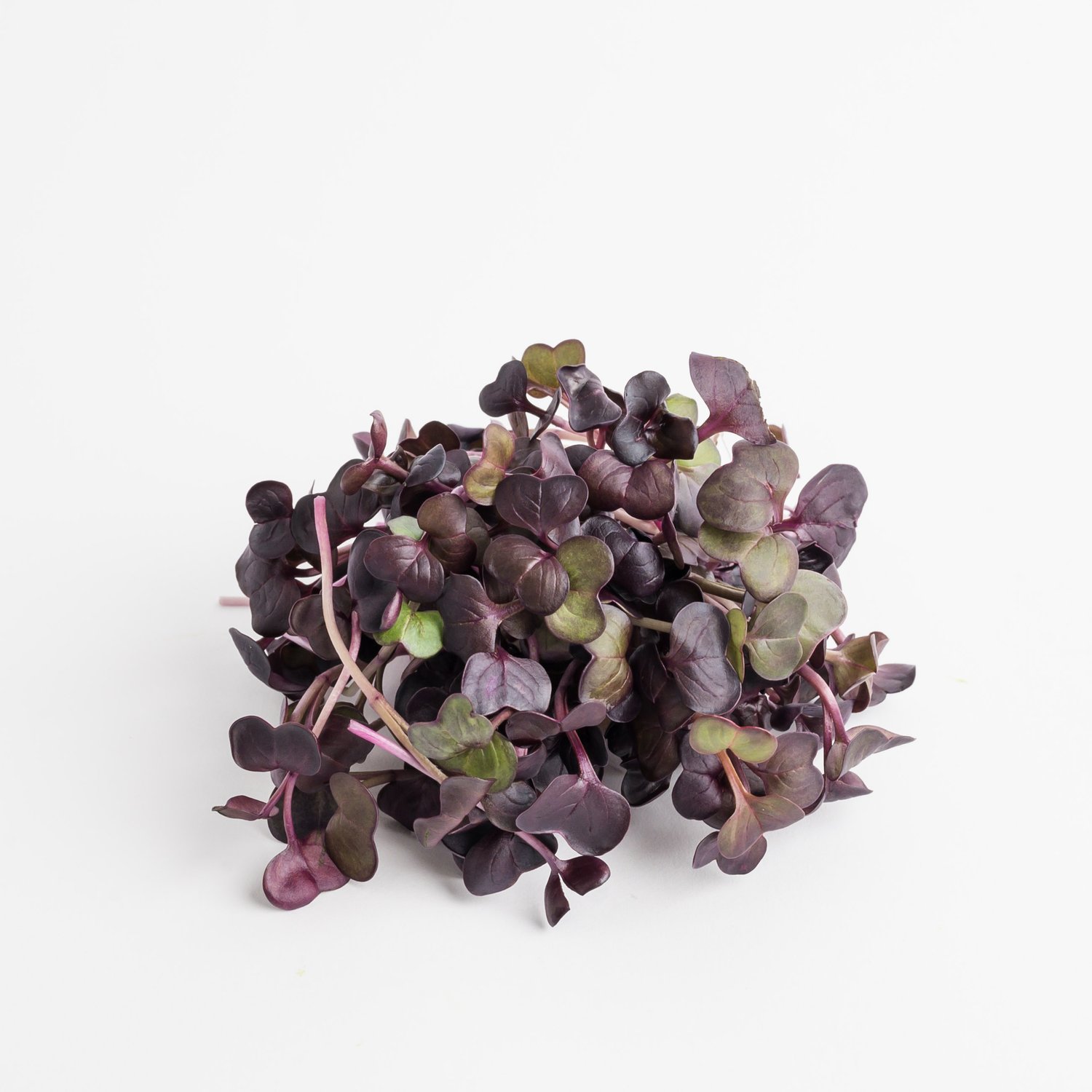 Retek "Sango Purple"